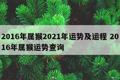 2016年属猴2021年运势及运程 2016年属猴运势查询