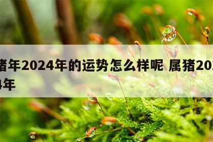 猪年2024年的运势怎么样呢 属猪2024年