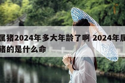 属猪2024年多大年龄了啊 2024年属猪的是什么命