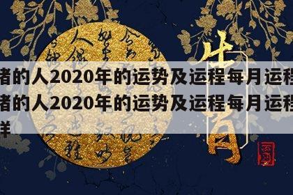 属猪的人2020年的运势及运程每月运程 属猪的人2020年的运势及运程每月运程怎么样