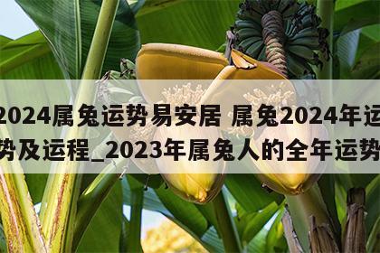 2024属兔运势易安居 属兔2024年运势及运程_2023年属兔人的全年运势