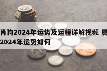 生肖狗2024年运势及运程详解视频 属狗的2024年运势如何
