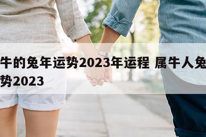 属牛的兔年运势2023年运程 属牛人兔年运势2023