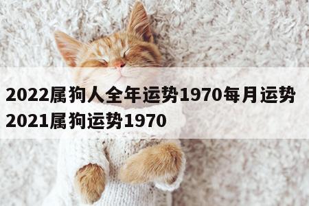 2022属狗人全年运势1970每月运势 2021属狗运势1970