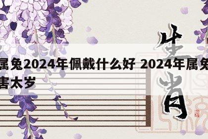 属兔2024年佩戴什么好 2024年属兔害太岁