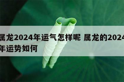 属龙2024年运气怎样呢 属龙的2024年运势如何