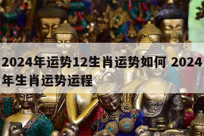 2024年运势12生肖运势如何 2024年生肖运势运程