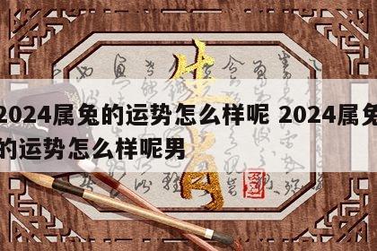 2024属兔的运势怎么样呢 2024属兔的运势怎么样呢男