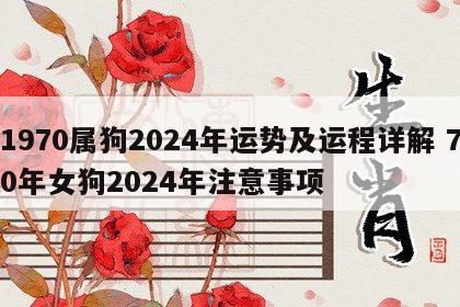 1970属狗2024年运势及运程详解 70年女狗2024年注意事项