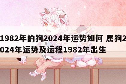 1982年的狗2024年运势如何 属狗2024年运势及运程1982年出生