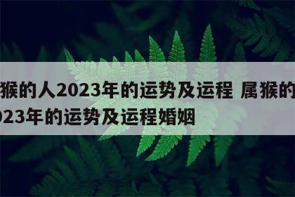 属猴的人2023年的运势及运程 属猴的人2023年的运势及运程婚姻