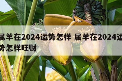 属羊在2024运势怎样 属羊在2024运势怎样旺财