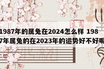 1987年的属兔在2024怎么样 1987年属兔的在2023年的运势好不好呢