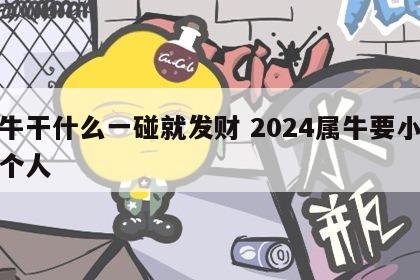 属牛干什么一碰就发财 2024属牛要小心一个人