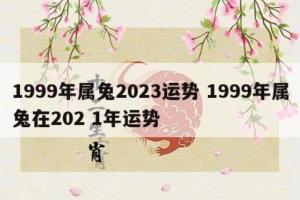 1999年属兔2023运势 1999年属兔在202 1年运势