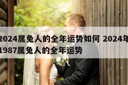 2024属兔人的全年运势如何 2024年1987属兔人的全年运势