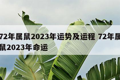 72年属鼠2023年运势及运程 72年属鼠2023年命运