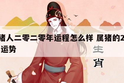 属猪人二零二零年运程怎么样 属猪的202l年运势