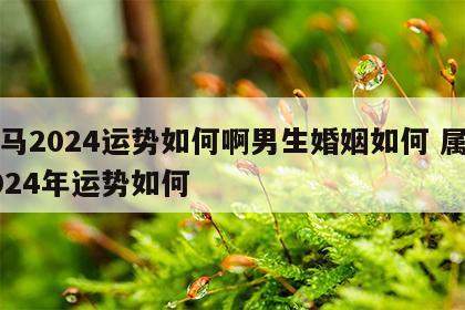 属马2024运势如何啊男生婚姻如何 属马2024年运势如何