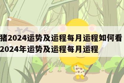 属猪2024运势及运程每月运程如何看 属猪2024年运势及运程每月运程