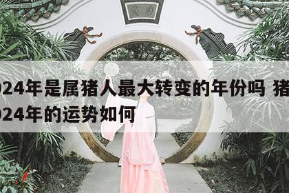 2024年是属猪人最大转变的年份吗 猪在2024年的运势如何