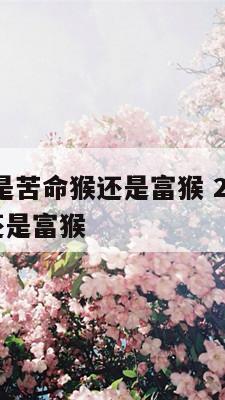 1992年是苦命猴还是富猴 2016年是苦命猴还是富猴