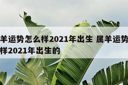 属羊运势怎么样2021年出生 属羊运势怎么样2021年出生的