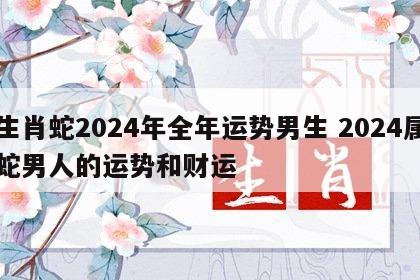 生肖蛇2024年全年运势男生 2024属蛇男人的运势和财运