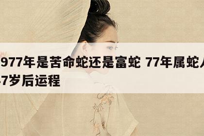 1977年是苦命蛇还是富蛇 77年属蛇人47岁后运程