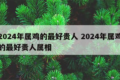 2024年属鸡的最好贵人 2024年属鸡的最好贵人属相