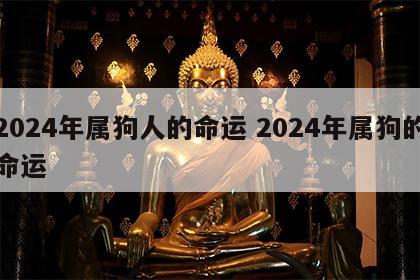 2024年属狗人的命运 2024年属狗的命运