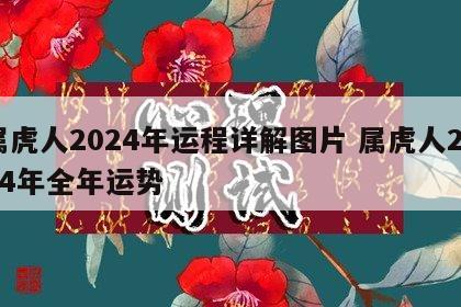 属虎人2024年运程详解图片 属虎人2024年全年运势