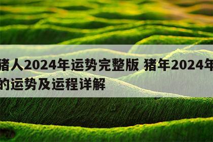 猪人2024年运势完整版 猪年2024年的运势及运程详解