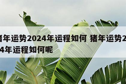 猪年运势2024年运程如何 猪年运势2024年运程如何呢