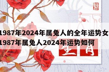 1987年2024年属兔人的全年运势女 1987年属兔人2024年运势如何