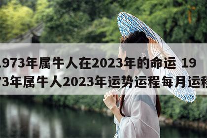 1973年属牛人在2023年的命运 1973年属牛人2023年运势运程每月运程