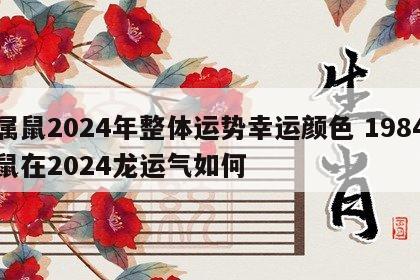 属鼠2024年整体运势幸运颜色 1984鼠在2024龙运气如何