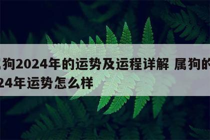属狗2024年的运势及运程详解 属狗的2024年运势怎么样