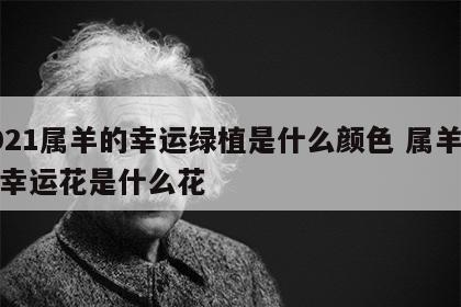 2021属羊的幸运绿植是什么颜色 属羊的人幸运花是什么花