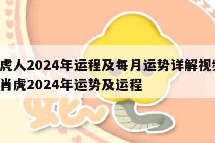 属虎人2024年运程及每月运势详解视频 生肖虎2024年运势及运程