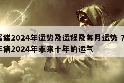 属猪2024年运势及运程及每月运势 71年猪2024年未来十年的运气