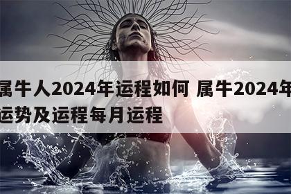 属牛人2024年运程如何 属牛2024年运势及运程每月运程