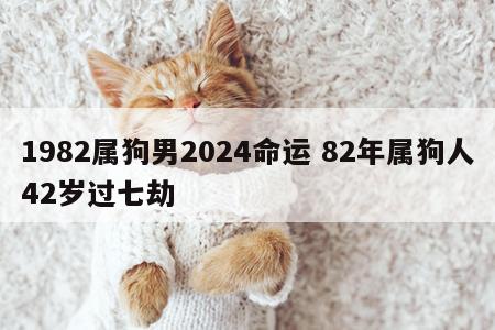1982属狗男2024命运 82年属狗人42岁过七劫