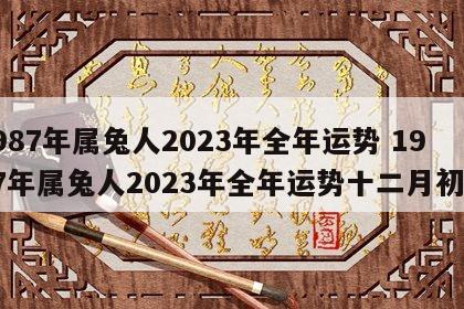 1987年属兔人2023年全年运势 1987年属兔人2023年全年运势十二月初九