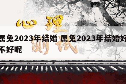 属兔2023年结婚 属兔2023年结婚好不好呢