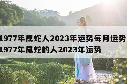 1977年属蛇人2023年运势每月运势 1977年属蛇的人2023年运势