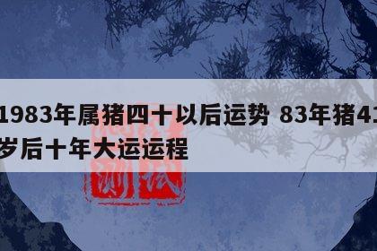 1983年属猪四十以后运势 83年猪41岁后十年大运运程