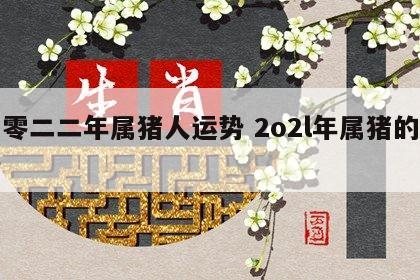 二零二二年属猪人运势 2o2l年属猪的运势
