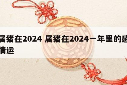 属猪在2024 属猪在2024一年里的感情运