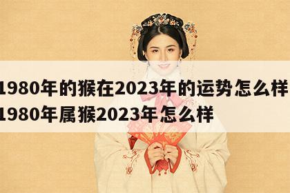 1980年的猴在2023年的运势怎么样 1980年属猴2023年怎么样